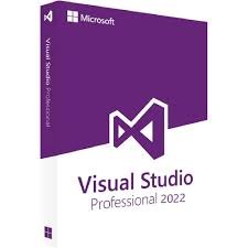 Microsoft Visual Studio Professional – 1 Year License